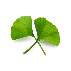 Reprostat Cream — Estratto di foglie di Ginkgo biloba